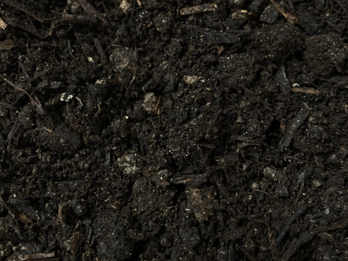 Mushroom Compost